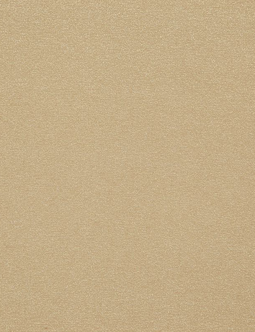 Ткань Daylight Avy Vertus/Biscotti