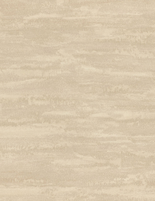 Обои Rasch Wall Textures XL Vol3 979121