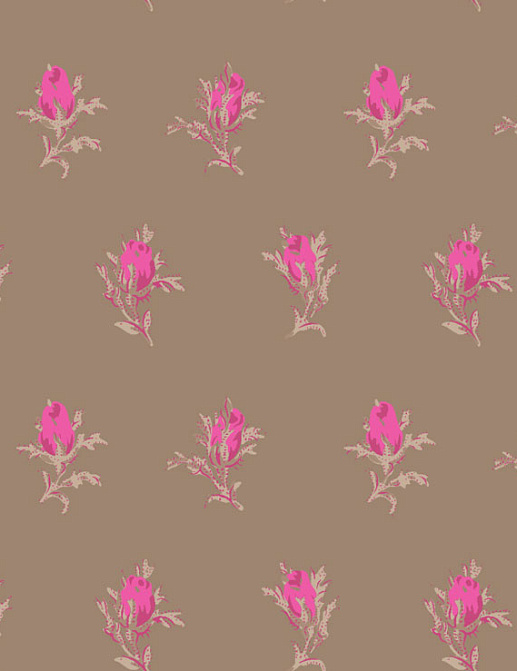 Обои Cole & Son Collection of Flowers 81/4017