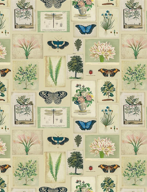 Ткань Designers Guild Picture Book Prints FJD6007/01