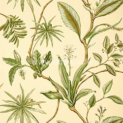 Обои Thibaut Seaside T6727