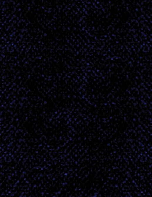 Ткань Daylight Primiero Primiero/Ebony