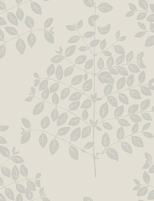 Обои York Modern Nature II (Candice Olson) OS4251