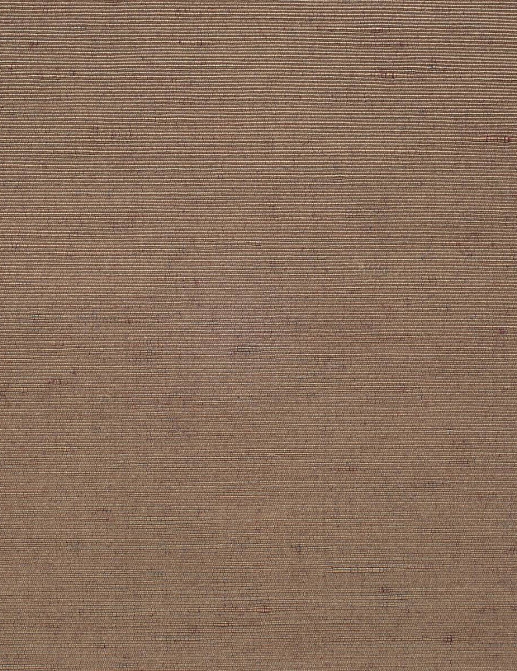 Ткань Loro Piana Le Sete AS1001/3