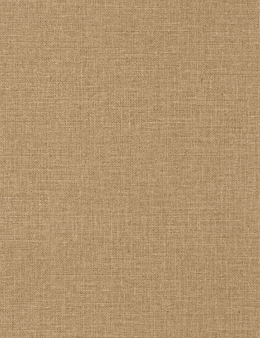 Обои Caselio Jute JTE104011610