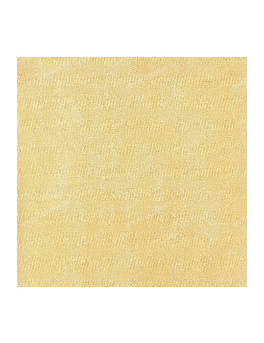Обои Elitis Toile Peinte VP40150