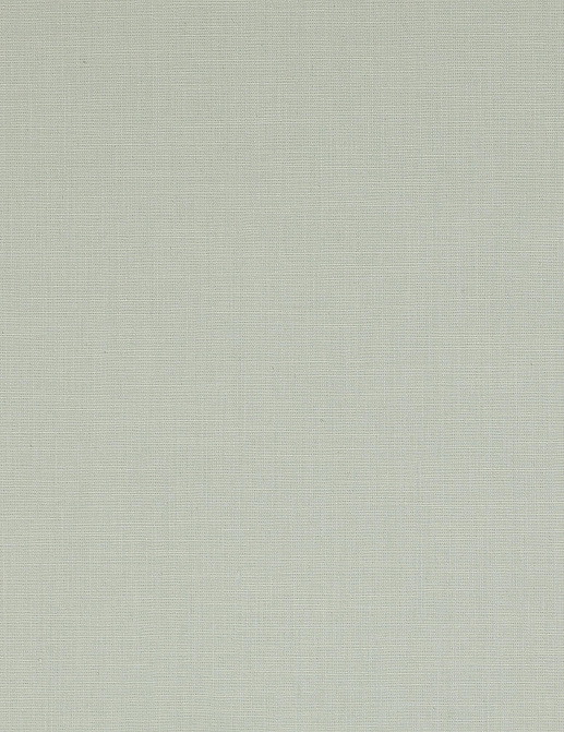 Ткань Manuel Canovas Chloe 04882/14