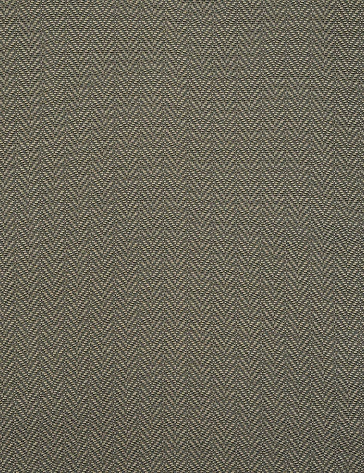 Ткань Jim Thompson Raffia Weaves JT013921005