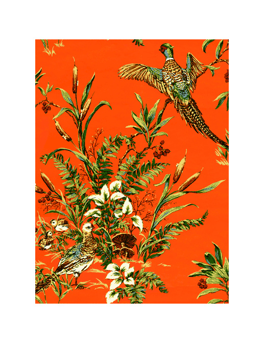 Обои Jaima Brown Retreat Pheasant-Run-Persimmon