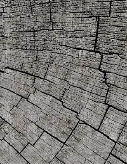 Обои Glamora Creative Wallcovering GLCR021