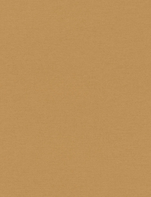 Обои Rasch Cosy Living 600292