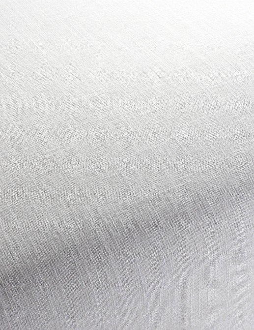 Ткань Chivasso Carlucci di Chivasso Two-Tone vol.2 CA7655/090