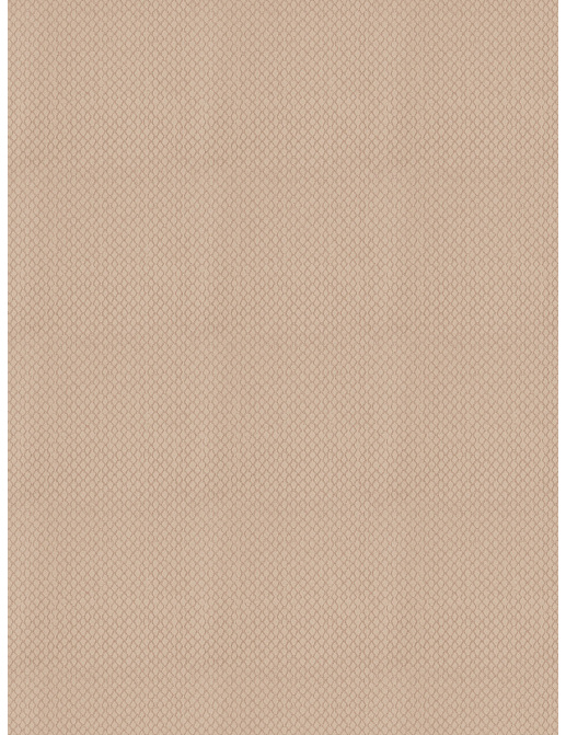Ткань Trend Dijon Taupe Prints & Wovens Vol.VI 03653/Dove