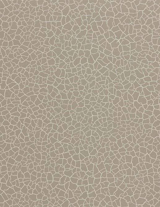 Обои Zoffany Oblique 312835