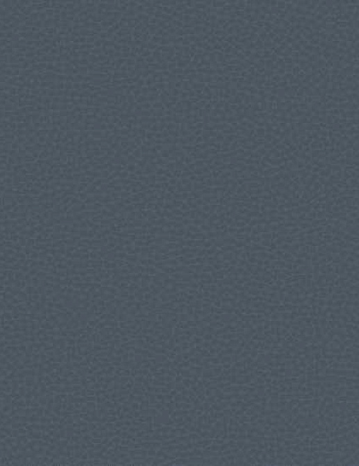 Обои Carl Robinson Edition 17 - Loft CR88012