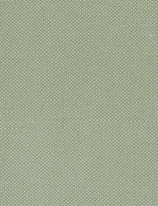 Ткань Designers Guild Bassano F1562/02