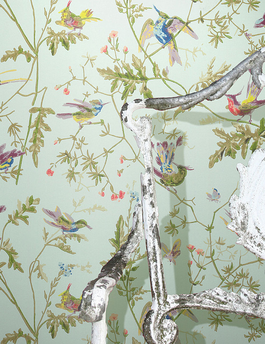 Обои Cole & Son Collection of Flowers 62/1004