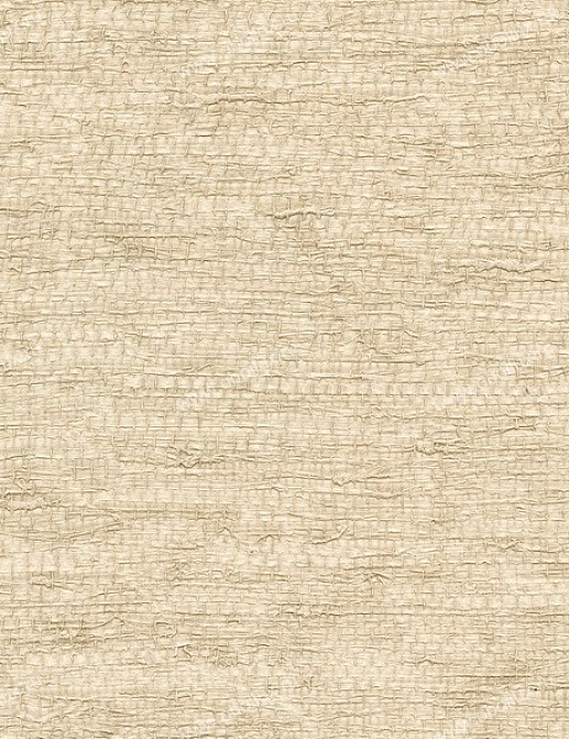 Обои Chesapeake Warner Textures WA9045