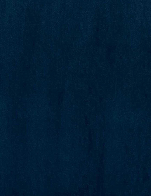 Обои Phillip Jeffries Tailored Walls 4046