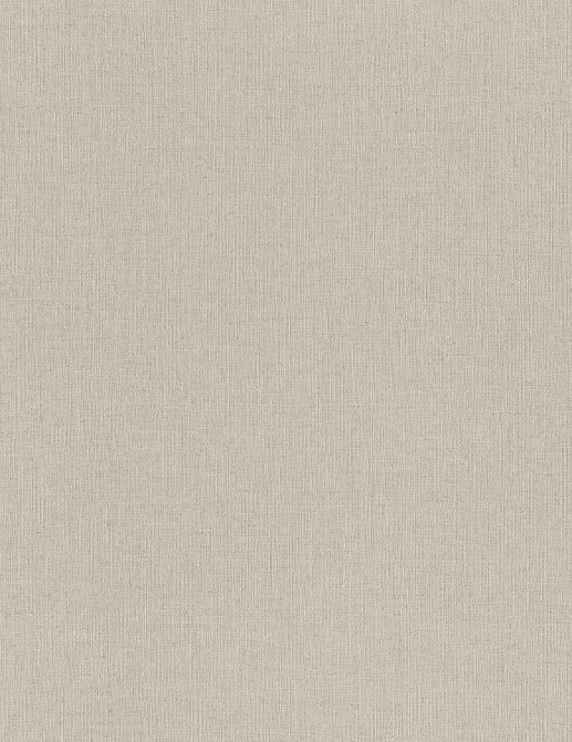 Обои Rasch Wall Textures XL Vol3 975505