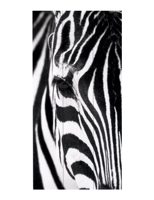 Обои Caselio Black & White BTW61375000