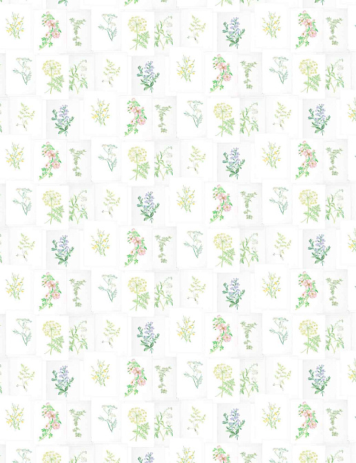 Обои Coordonne Random Papers issue 7800994