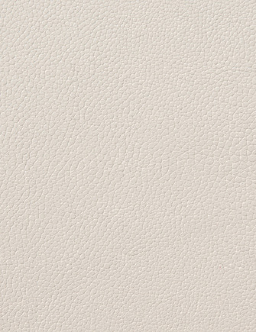 Ткань Holly Hunt Holly Hunt Leather 6000/75