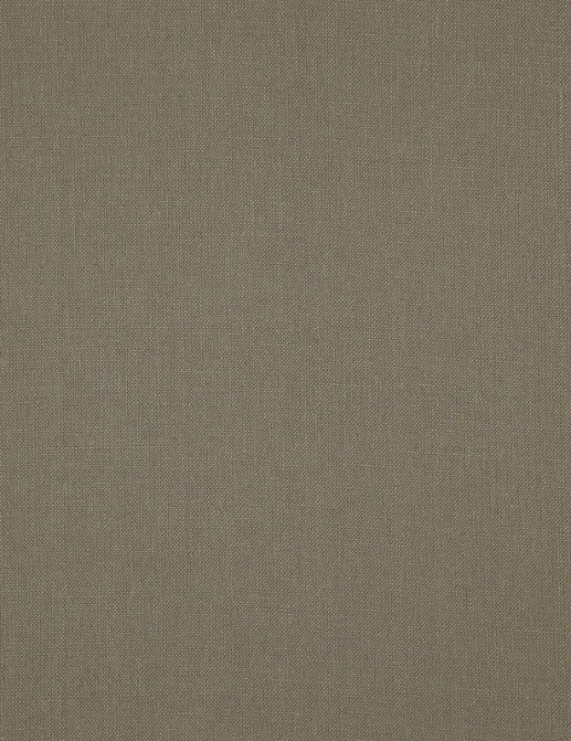 Ткань Daylight Canvas Canvas/Stone