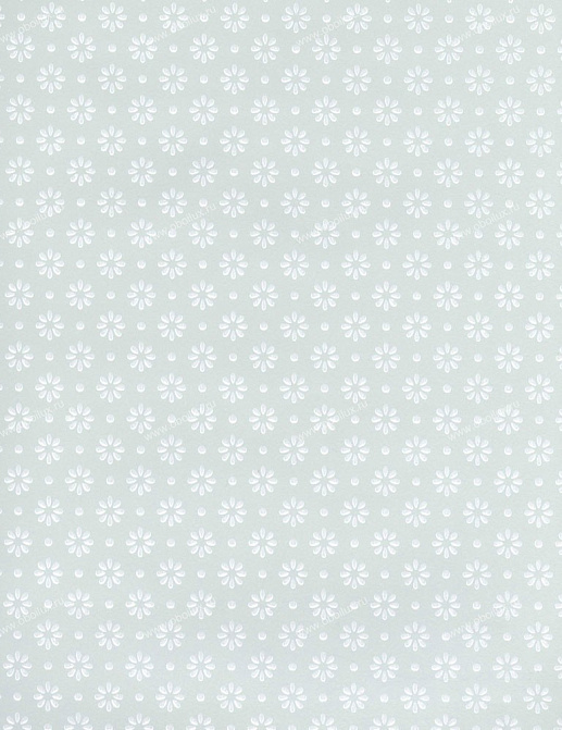 Обои Cole & Son Charlie Wilson 80/8041