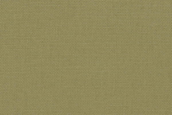 Ткань Designers Guild Salso F1796/10