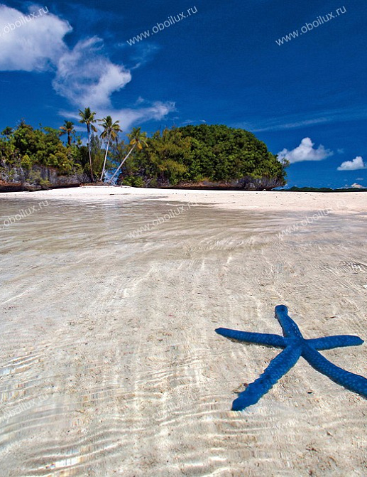 Панно и фотообои A. S. Creation XXL II 328 Blue Starfish