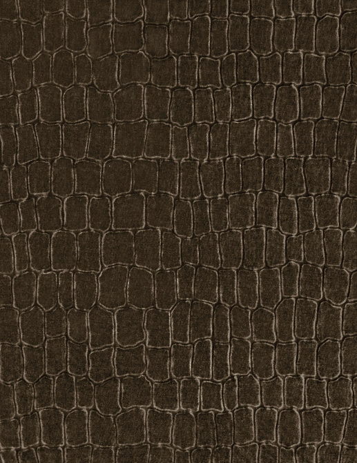 Ткань Zinc Lobby velvets Z515/04