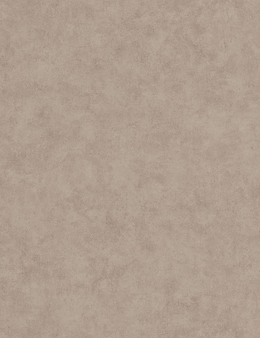 Обои Caselio Beton 2 BTO101481462