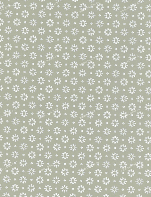 Обои Cole & Son Charlie Wilson 80/8038