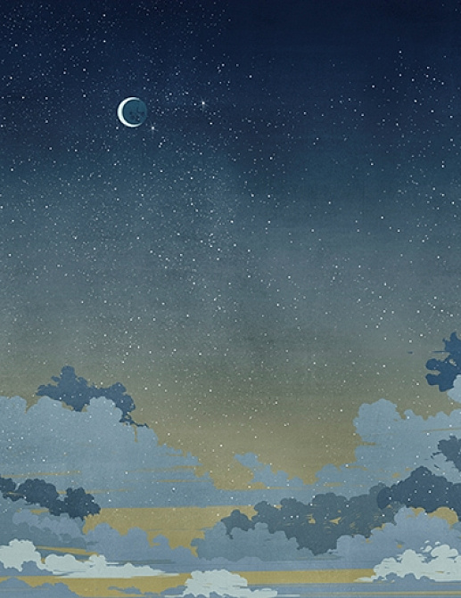 Панно и фотообои Wall & Deco 2016 WDNB1602