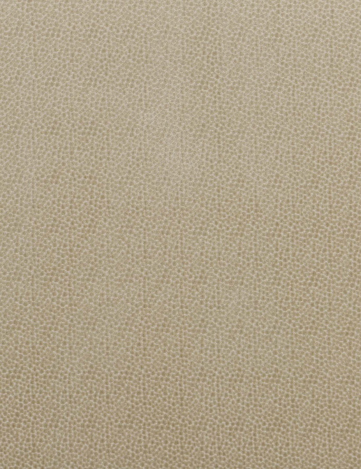 Ткань Baker Lifestyle Carnival Velvet PF50423/225