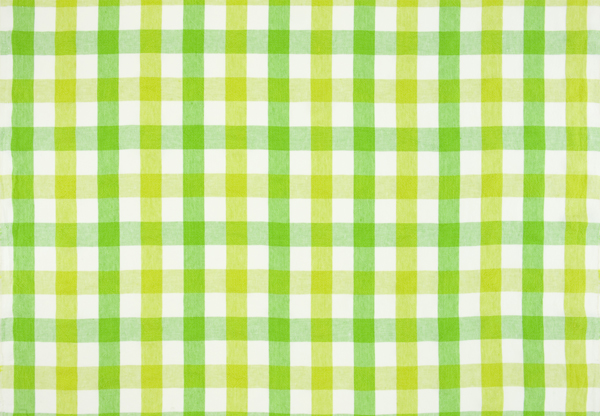 Ткань Designers Guild Brera quadretto F1887/06