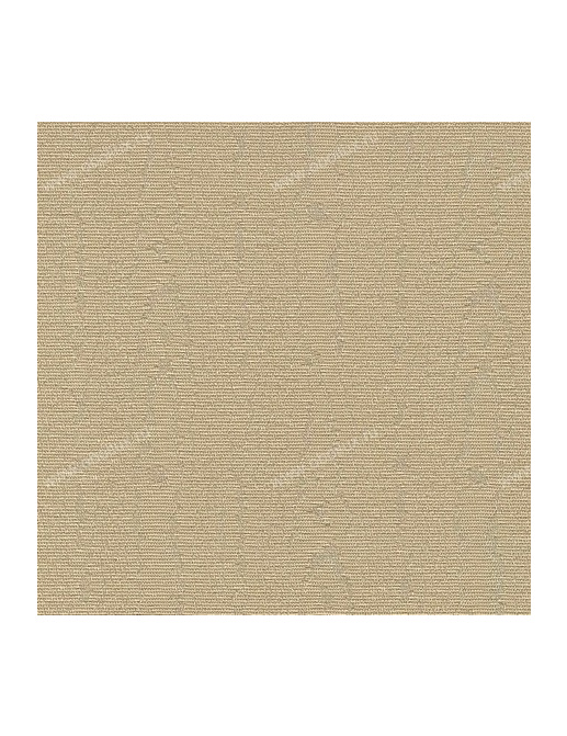 Обои Arlin Rassegna off White RASSEGNA-5MPP