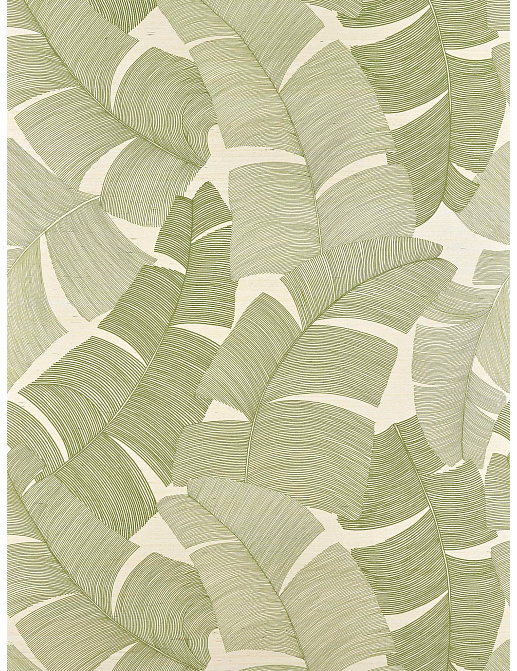 Обои Pierre Frey Iles Enchantees FP975003