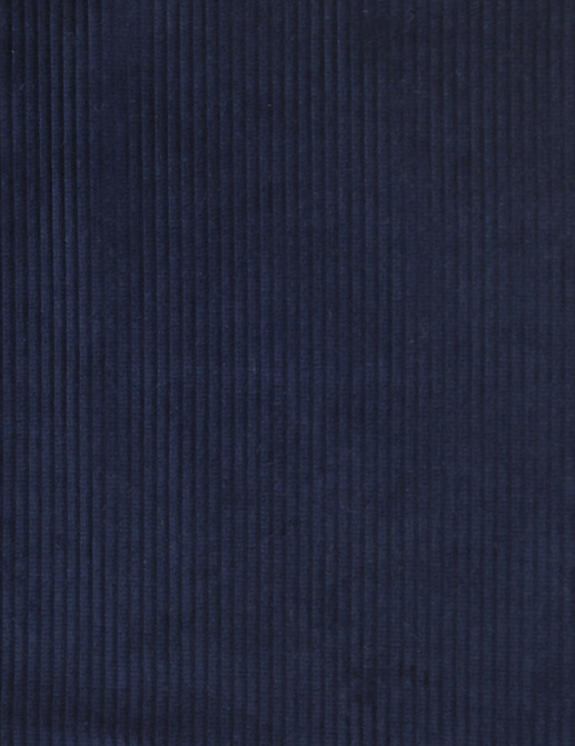 Ткань Ralph Lauren Blue Book 3 LCF66637F