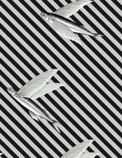 Ткань Flying Fish Interior Textiles И-5-Р