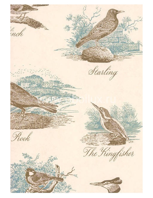 Обои Lewis & Wood Book I - Sporting & Character LW153120/Bewick Birds Sea Holly