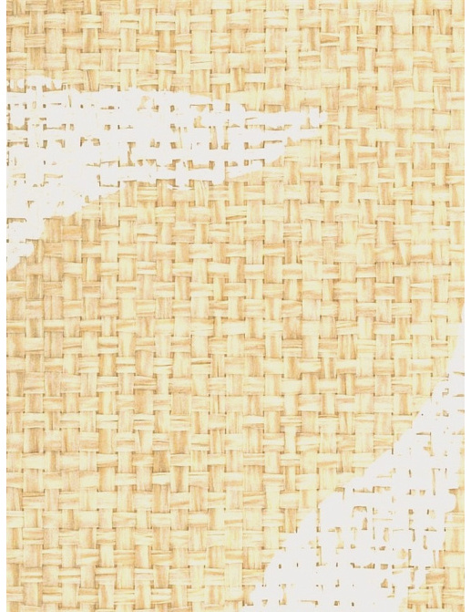Обои Stroheim Silhouettes Viney Leaf Paperweave/Bisque on Natural