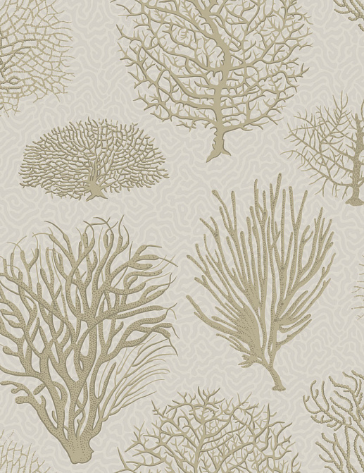 Обои Cole & Son Curio 107/2010