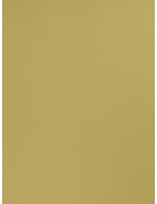 Ткань Trend Multipurpose Sleek Satin Vol.II 02022/Fern