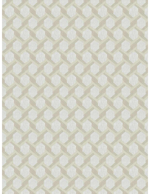 Ткань Fabricut Natural Layers Multipurpose Ratan Brockway/Sand