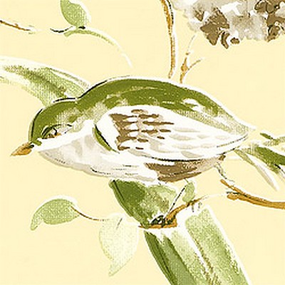 Обои Thibaut Waterlily T1152