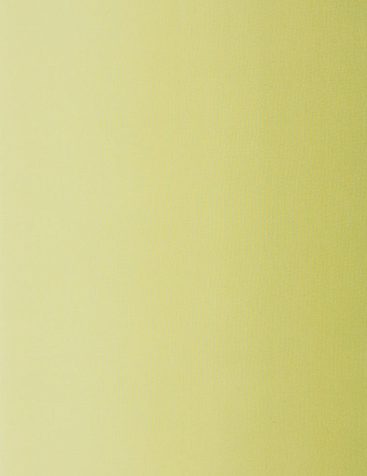 Ткань Designers Guild Padua F1987/03