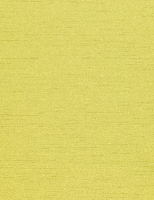 Обои Sanderson Wallpapers from a Painters Garden DAPGLD104