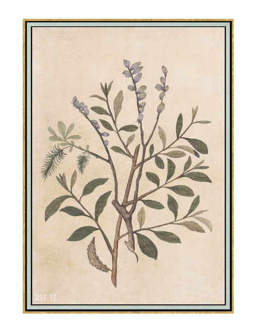 Панно и фотообои Iksel Scenic & Architectural Wallpapers Renaissance Herbier RH31